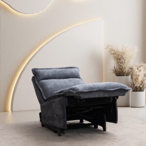 Platinum recliner